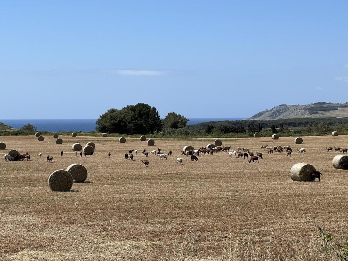 Le Capase Resort Salento سانتا سيزاريا تيرمي المظهر الخارجي الصورة