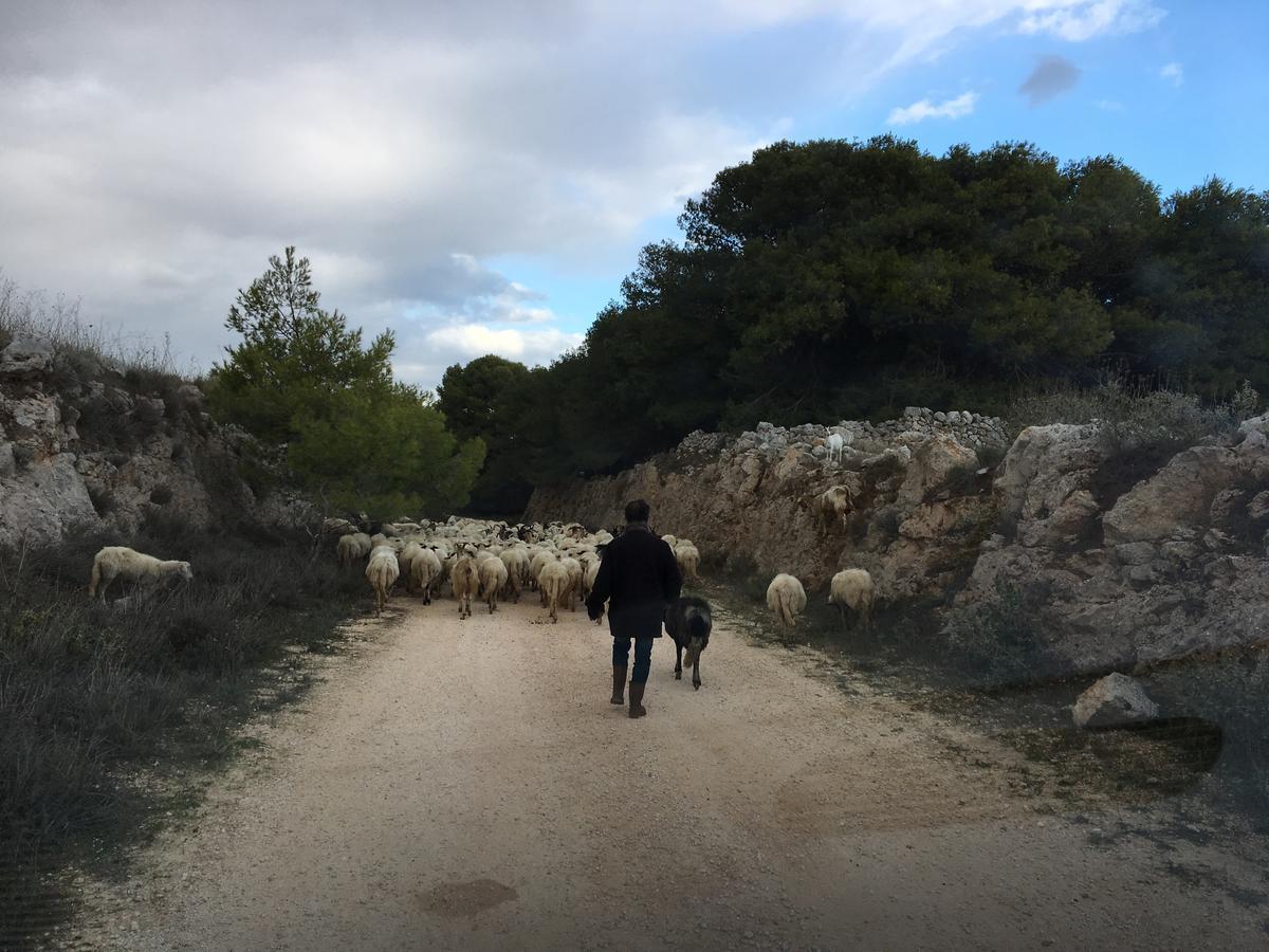 Le Capase Resort Salento سانتا سيزاريا تيرمي المظهر الخارجي الصورة
