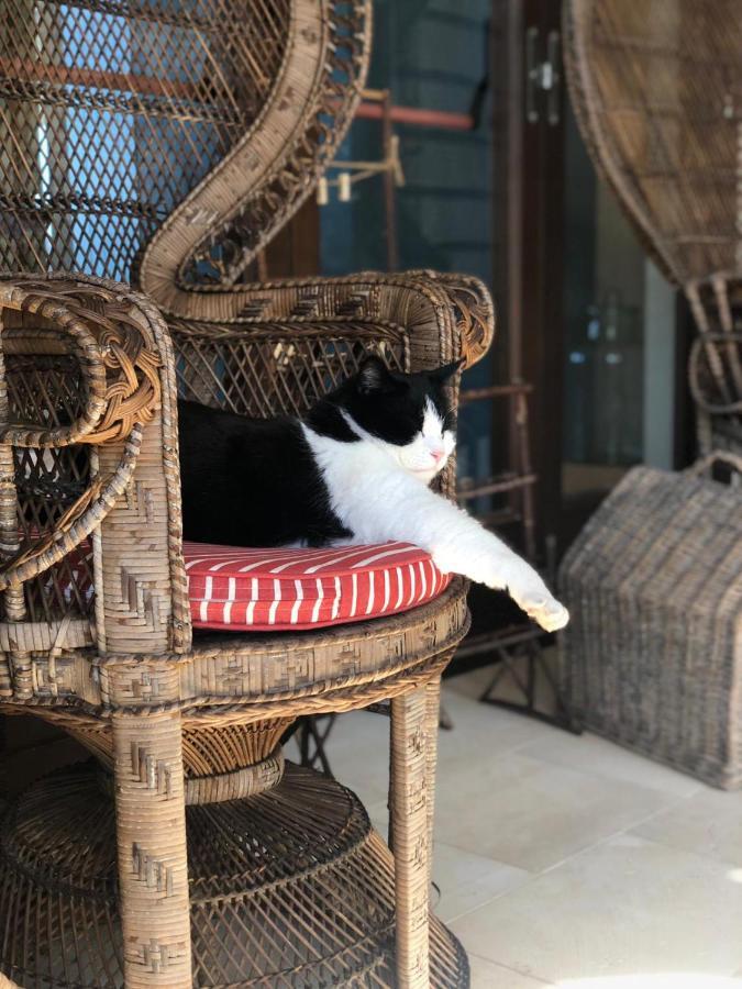 Le Capase Resort Salento سانتا سيزاريا تيرمي المظهر الخارجي الصورة
